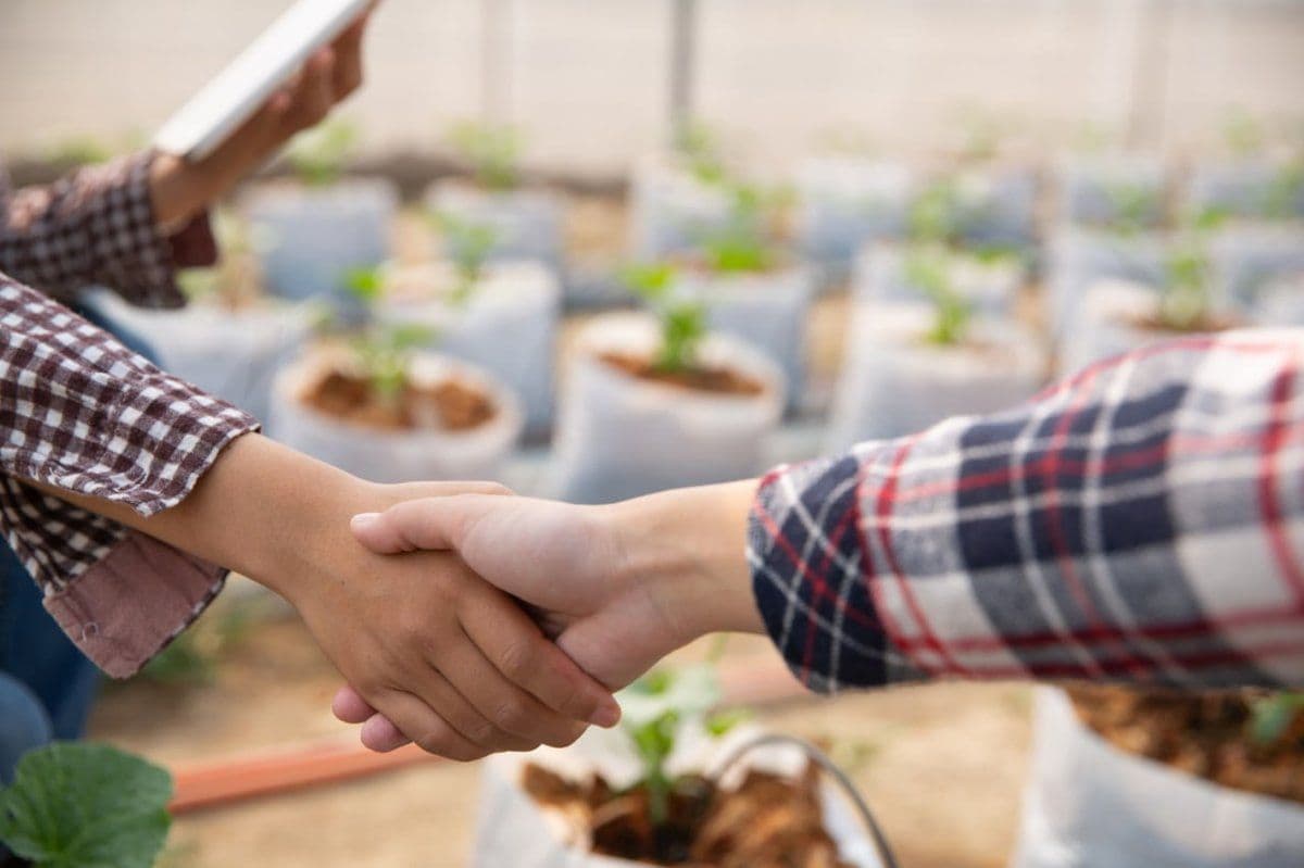 Strategi Branding Agribisnis ala PR Agency Jakarta