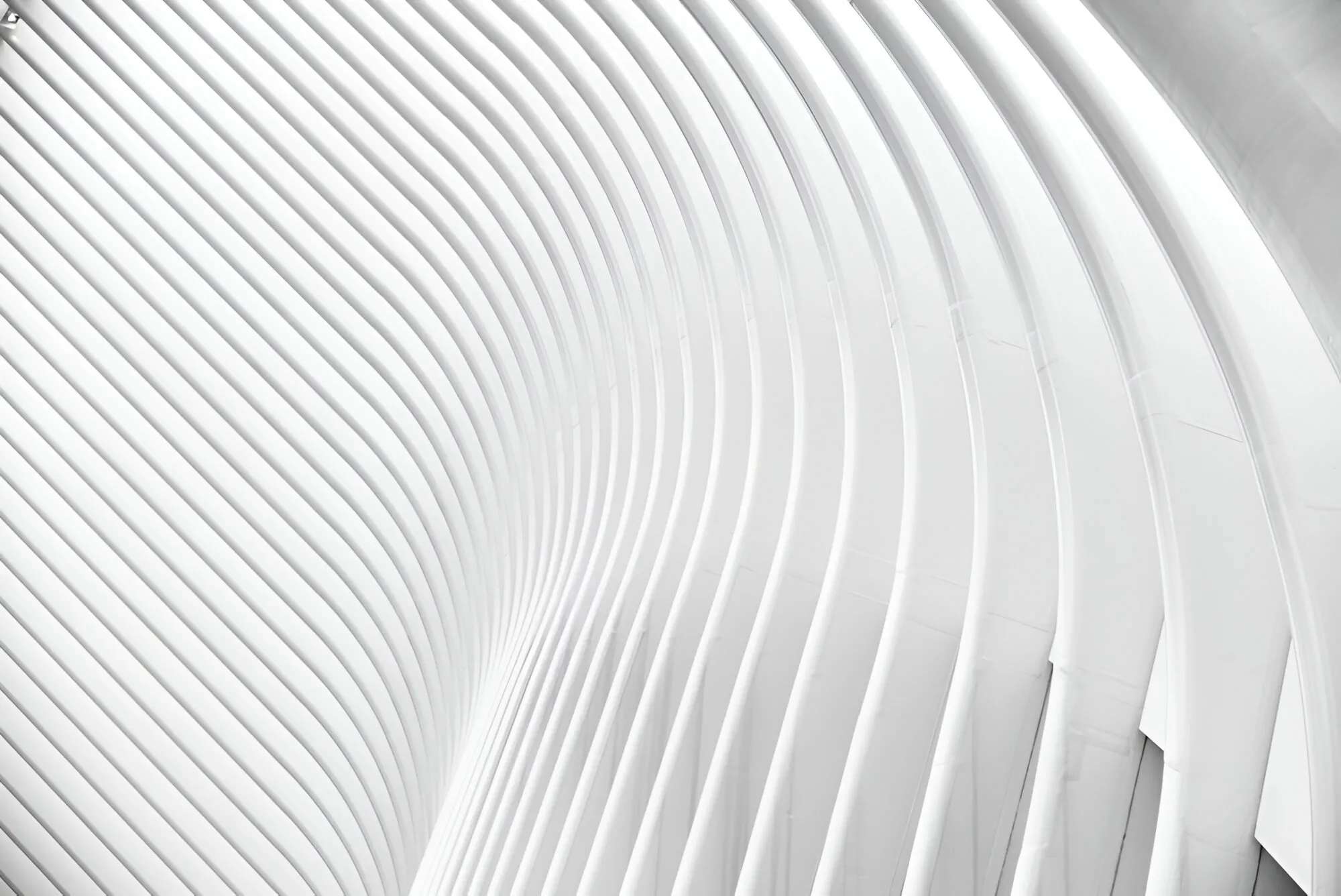 white architecture background.jpg